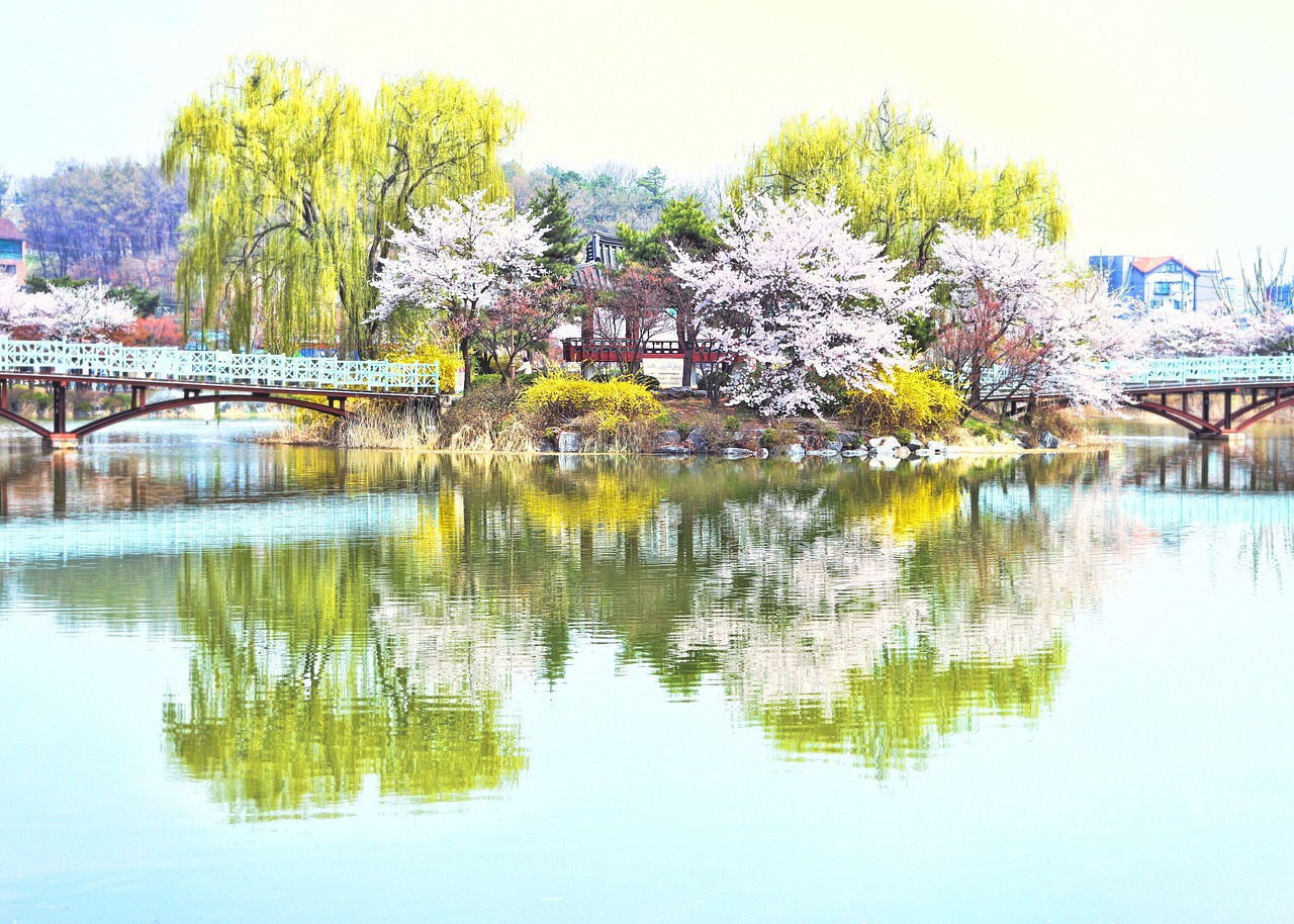 섹션 1 이미지
