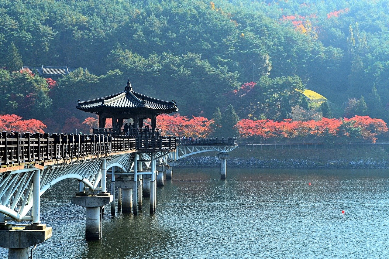 섹션 1 이미지