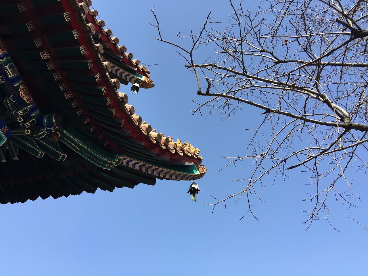 섹션 1 이미지